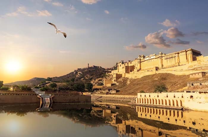 rajasthan-wildlife-tour