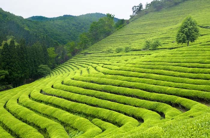 incredible-north-east